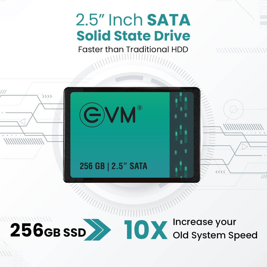 EVM 256GB 2.5 Inch SATA Internal SSD - Read: 550MB/s & Write: 500MB/s - SATA Solid-State Drive - 5Years Warranty (EVM25/256GB)